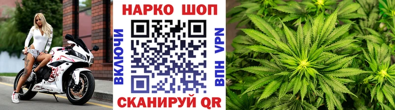  COCAIN Павловск