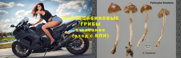 каннабис Тобольск