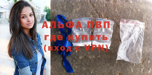 гидра Бородино