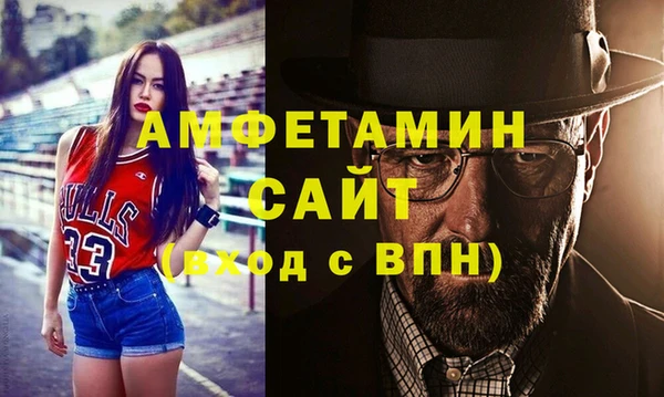 гидра Бородино