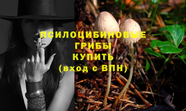 гидра Бородино