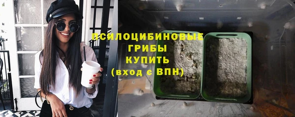 гидра Бородино