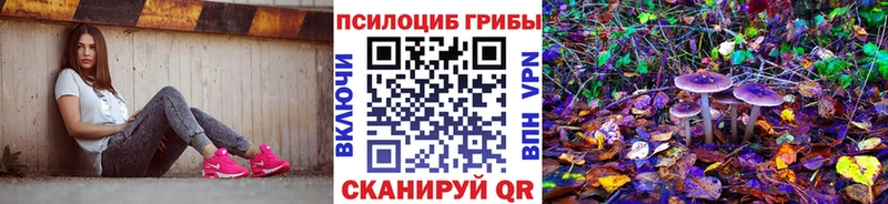 магазин продажи наркотиков shop официальный сайт Галлюциногенные грибы Cubensis Павловск